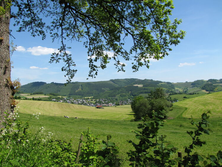 Ausblick auf Wenholthausen