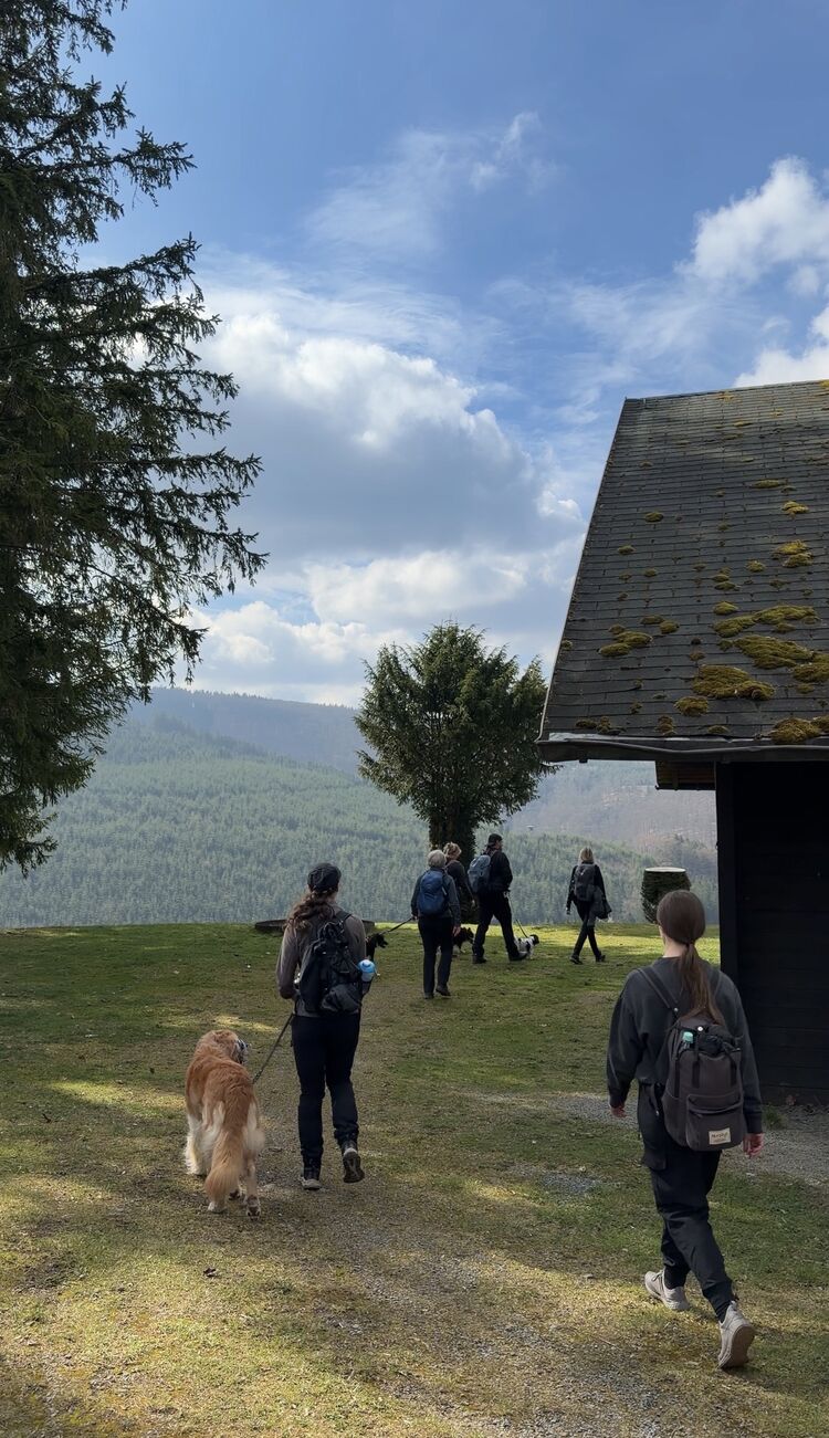 Hundewanderung_bevandert