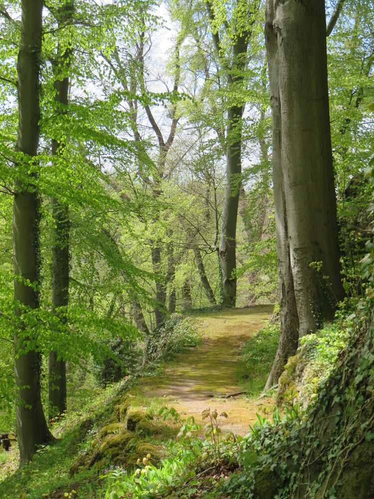 Meditatives Wandern rund um Oberkirchen